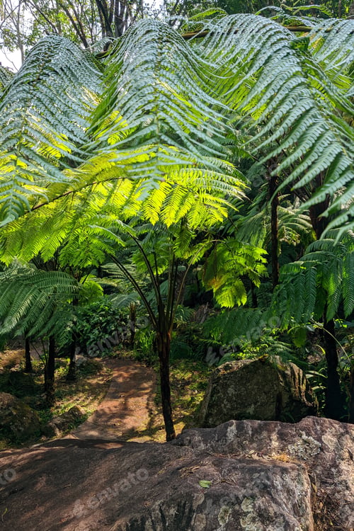 Preview: national park Doi Inthanon Chiang Mai, Thailand