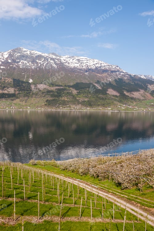 Preview: scenic landscapes of the Norwegian fjords.