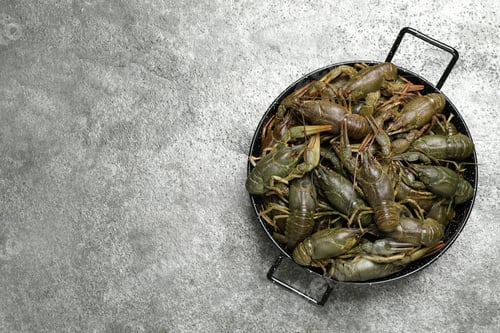 Preview: Fresh raw crayfishes on grey table, top view. Space for text