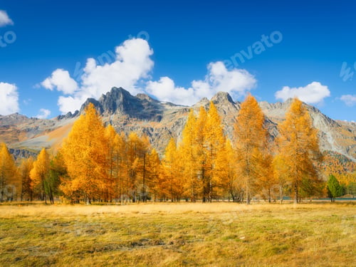 Preview: Autumn landscape in Switzerland. Day time in the mountains.