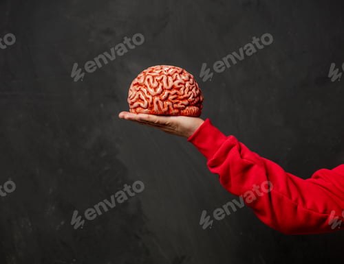 Preview: male hand hold human brain on dark background