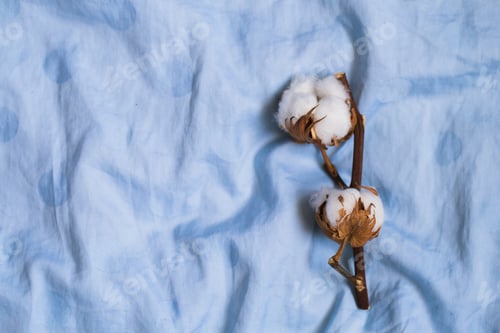 Preview: Cotton flower