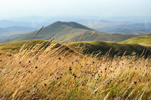 Preview: Scenic landscape of Zlatibor mountain in Serbia surrounded by trees in the background