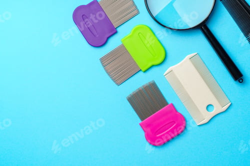 Preview: Comb for lice removing on blue background