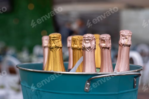 Preview: Selection of champagne placed in ice bucket