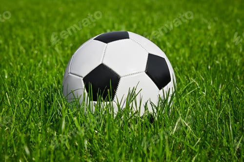 Preview: Football ball in green grass of soccer field
