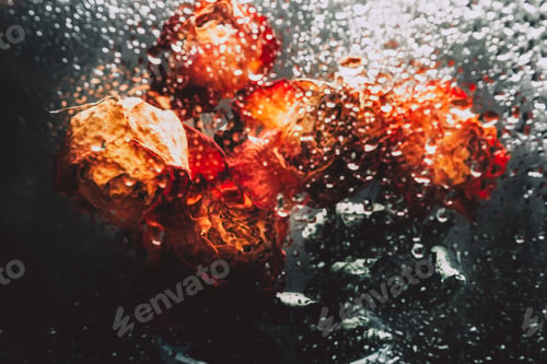 Preview: Bunch of beautiful faded flowers through the glass with rain drops