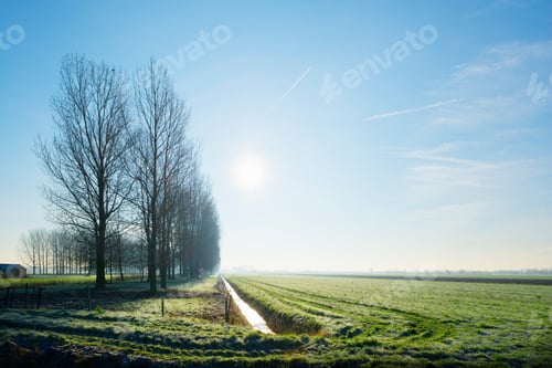 Preview: Meadows and ditch in backlight, Schalkwijk, Utrecht, The Netherlands
