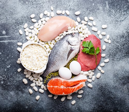 Preview: Food products as protein sources