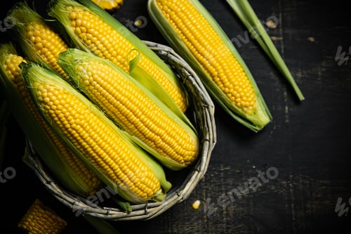 Preview: Fresh corn in basket.