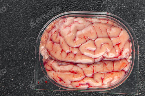 Preview: pork brains raw edible offal meat fresh food tasty fresh healthy eating cooking appetizer meal food