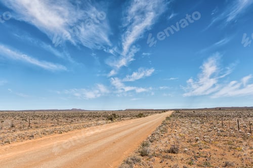 Preview: Road landscape with white wildflowers near Williston