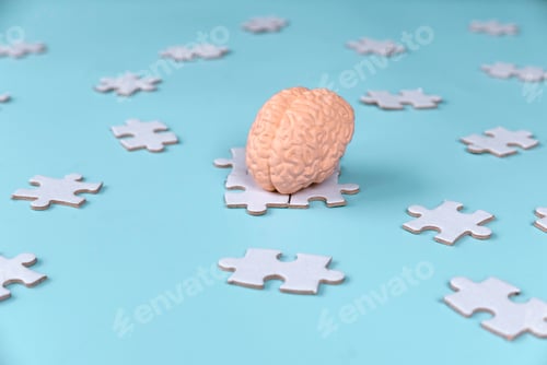 Preview: Human Brain Model on Scattered Jigsaw Puzzle Pieces