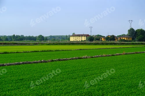 Preview: Rural landscape near Terranova, Casale Monferrato, Alessandria province, Italy