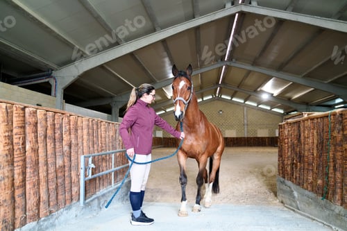 Preview: Indoor Horse Training Facility with Rider