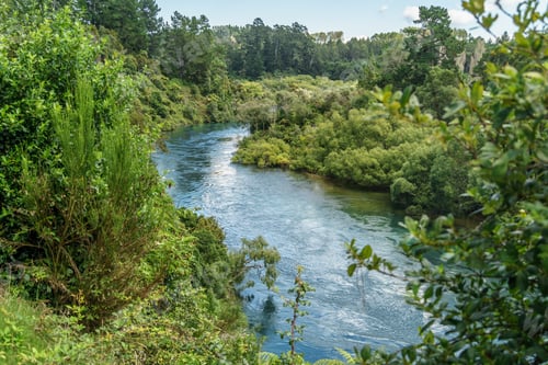 Preview: green trees on blue river bank on sunny day, Huka Falls, New Zealand