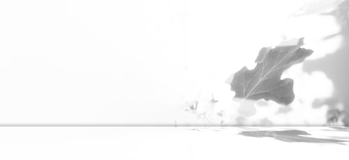 Preview: Floor Shadow Kitchen Concrete Wall Abstract White Texture Light Table Product