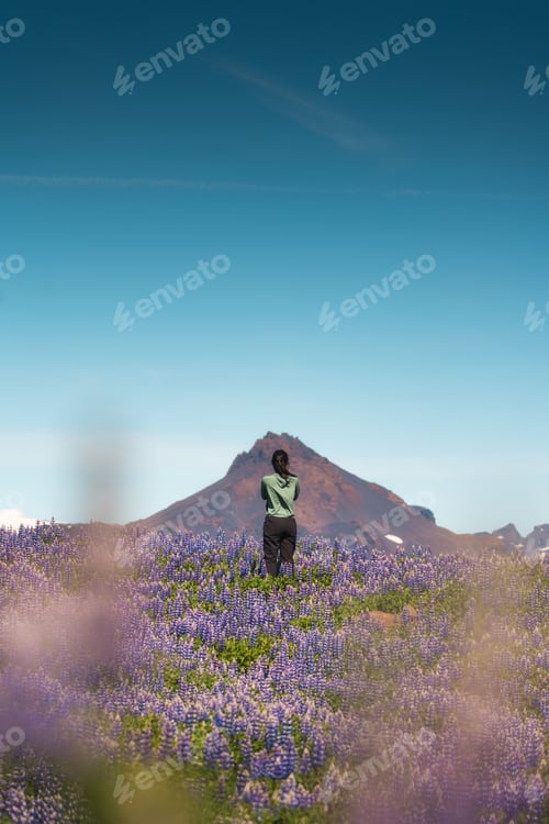 Preview: Young woman standing in lupin flower blooming in springtime on sunny day
