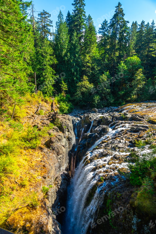 Preview: Englishman river falls plunging into a rocky gorge on vancouver island