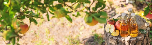 Preview: Apple cider vinegar in the garden. Selective focus.