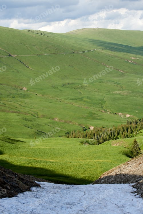 Preview: Scenic view of the Carpathian mountains with a grassy slope in the foreground
