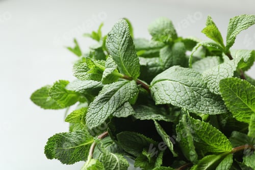 Preview: Fresh green mint on light background, closeup