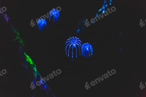 Preview: Avatar Ride