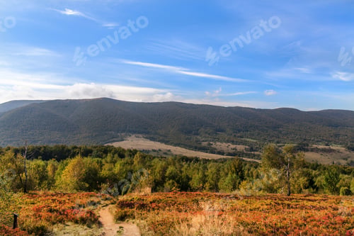 Preview: Panorama on Carpathians mountains.