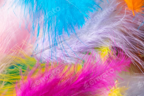 Preview: Many light multi-colored feathers for a carnival costume. Background for design.