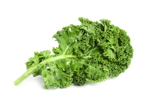 Preview: Fresh green kale leaf isolated on white