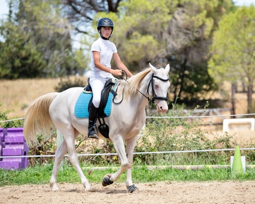 Preview: riding girl and horse