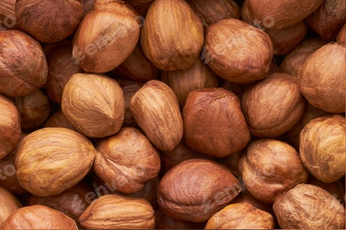 Preview: Hazelnut Background. Heap of peeled hazelnuts, food background