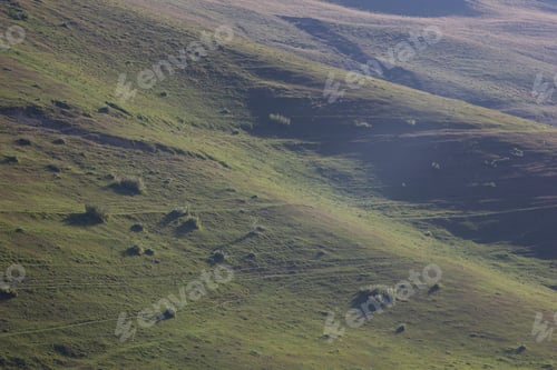 Preview: beautiful nature, foggy mountain landscape