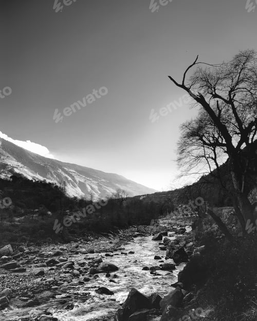 Preview: Black and white shot of a river in a deserted forest with leafless trees surrounded by mountains