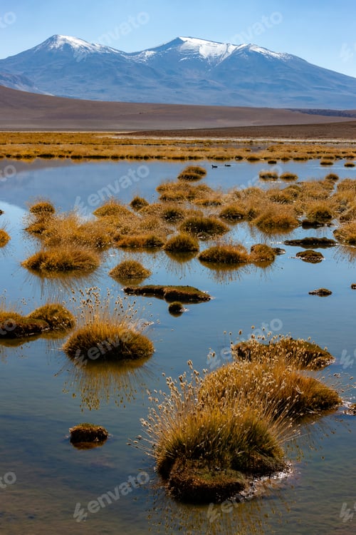 Preview: Atacama Desert Landscape - Chile - South America