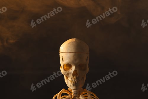 Preview: Plastic skeleton and smoke with copy space on black background