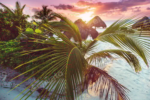 Preview: Tropical beach