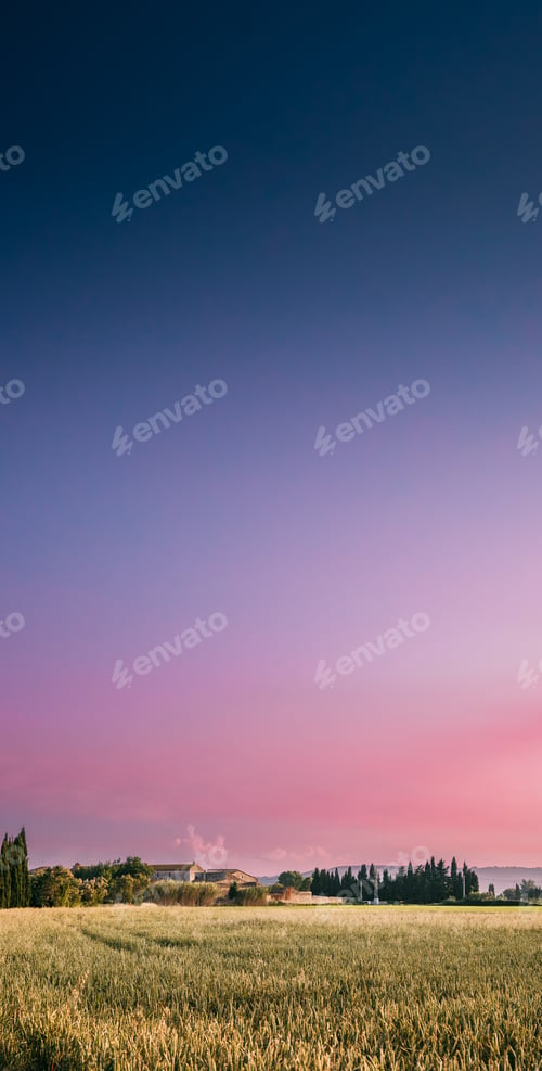 Preview: Catalonia, Spain. Sunny Spring Sky Above Spanish Countryside Rural Wheat Field Landscape.
