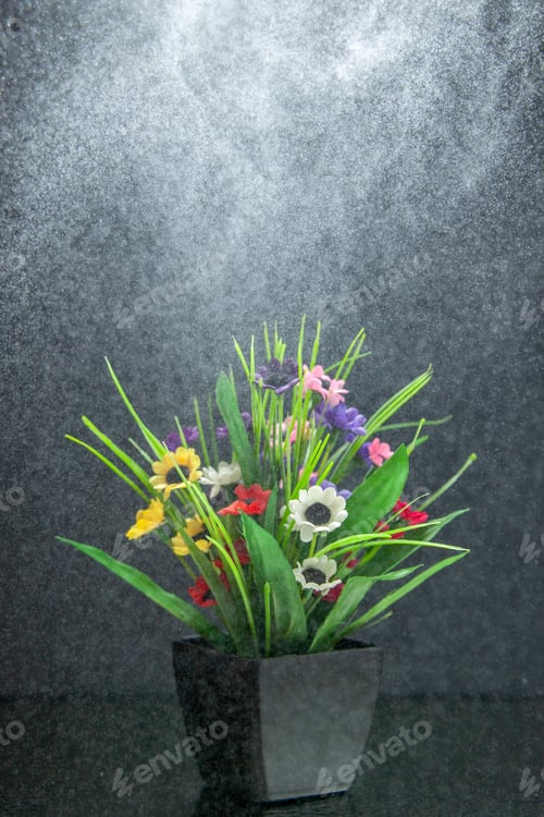 Preview: Top view of beautiful flower pot on light on dark background with free space