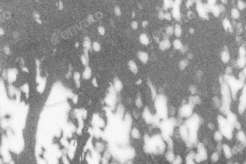 Preview: Shadow of palm leaves sways in the wind on granite wall background