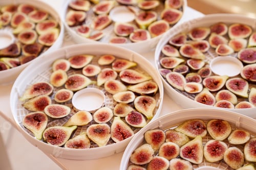 Preview: Fruit drying process on plates. Close up