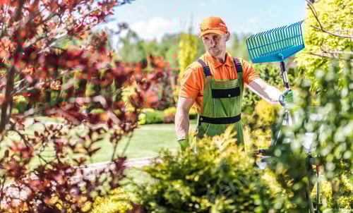 Preview: Gardener with Rake