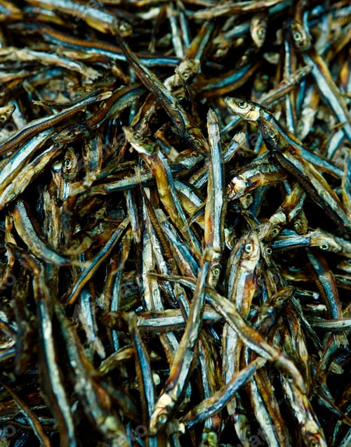Preview: Fish for sale in market