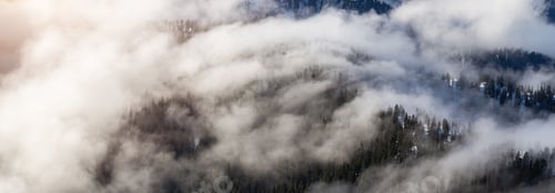 Preview: Green Trees on top of Canadian Mountain Landscape covered in Clouds.