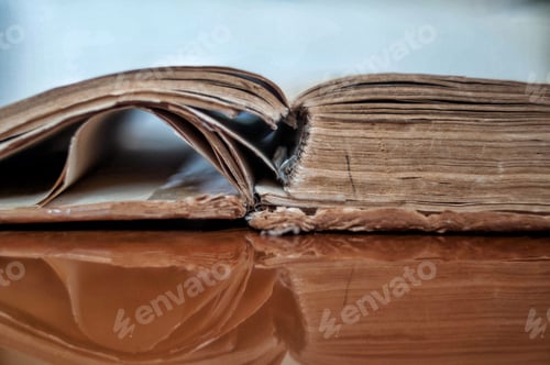 Preview: Books & Reading