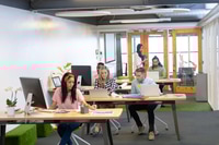 Preview: Front view of diverse business people working at desk in a modern office