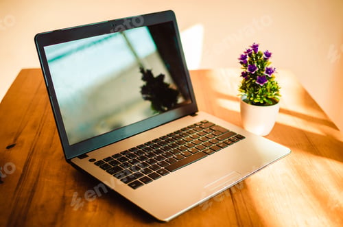 Preview: Closeup shot of a laptop with a flower in a pot on a wooden table