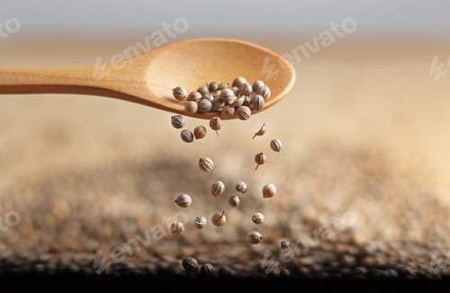 Preview: Coriander seeds