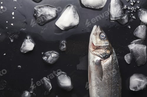Preview: Fresh sea bass at black background