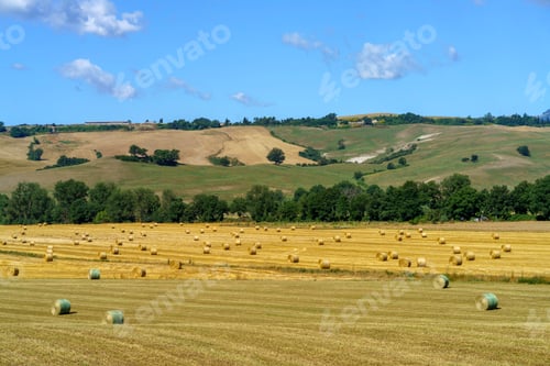 Preview: Rural landscape along the Cassia near Acquapendente, Lazio